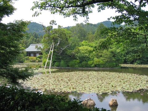 龍安寺 鏡容池
