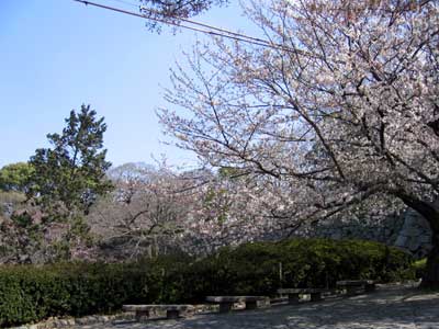 舞鶴公園 舞鶴公園