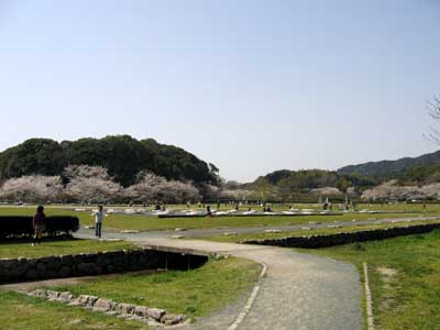 大宰府政庁跡 大宰府政庁跡