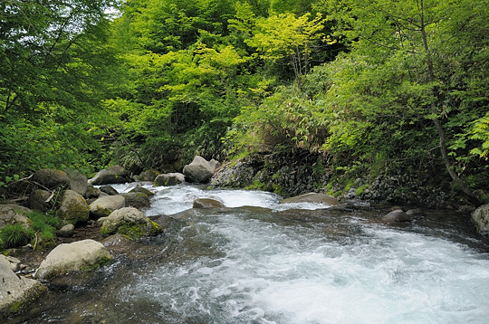 下流方向