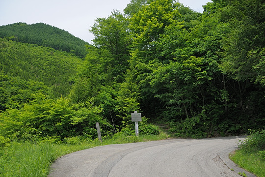 遊歩道入口付近