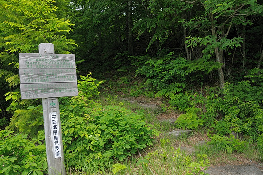 遊歩道入口