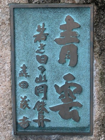 青雲 若き日の山岡鉄舟