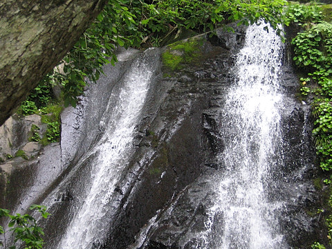 障泥滝