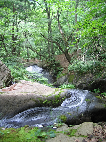 わん水滝