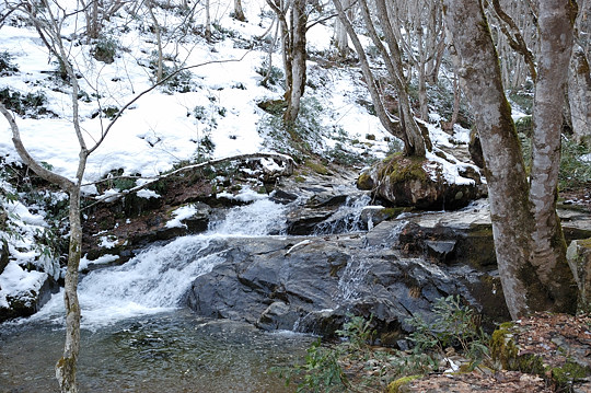 朝霧滝