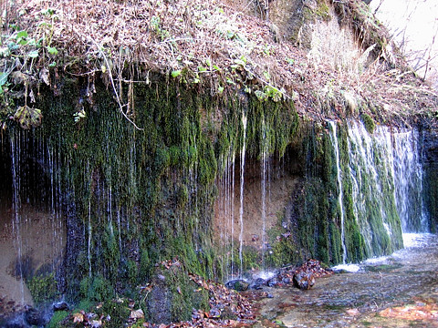 白糸の滝 白糸の滝