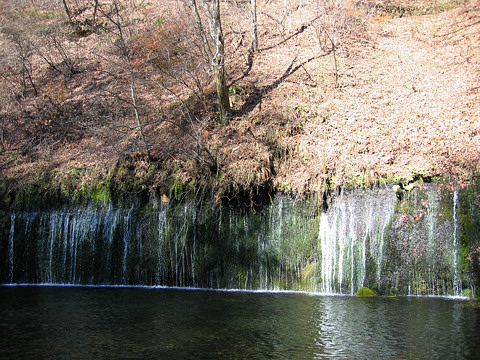 白糸の滝 白糸の滝