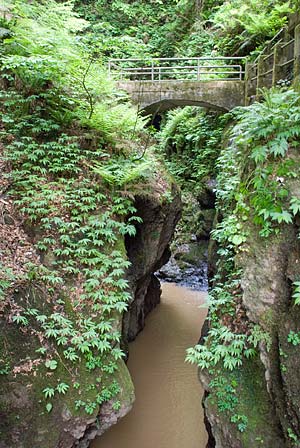 岩室の滝 遊歩道
