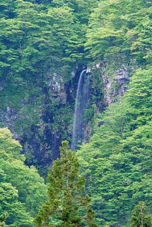 弁ヶ滝
