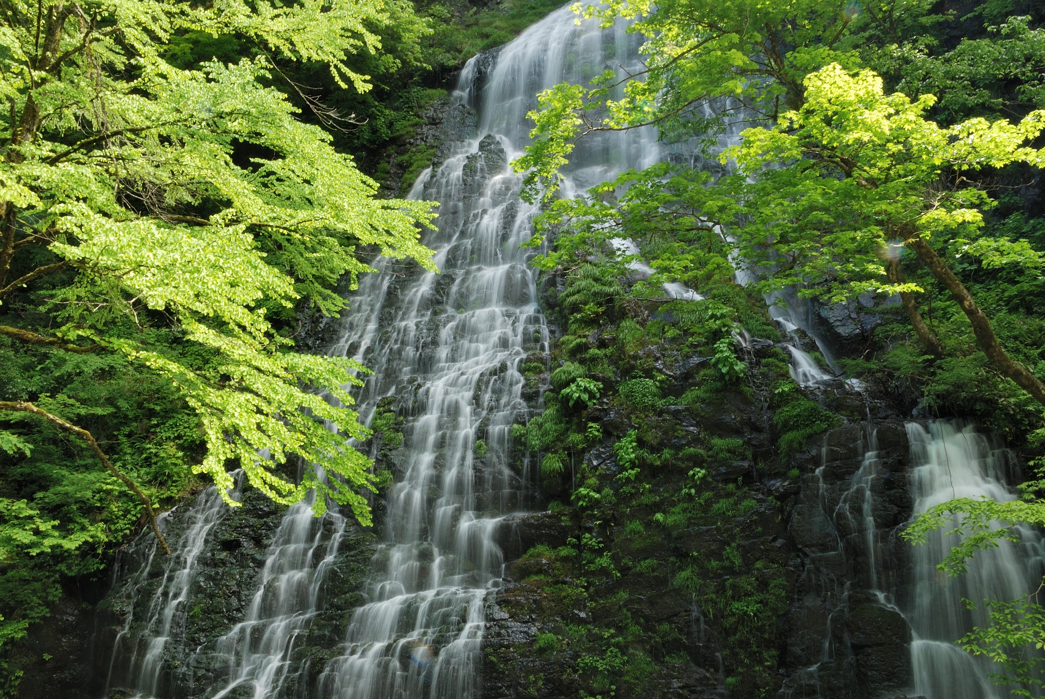 龍双ヶ滝 | がんでんの館