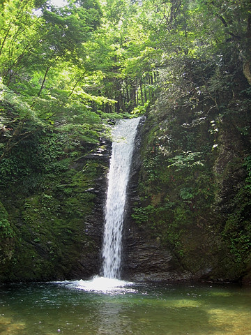 白滝