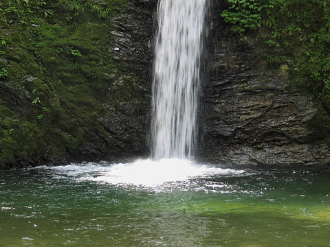 白滝