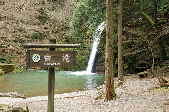 白滝