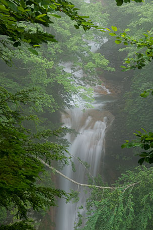 緋の滝
