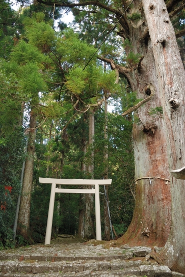 大馬神社参道