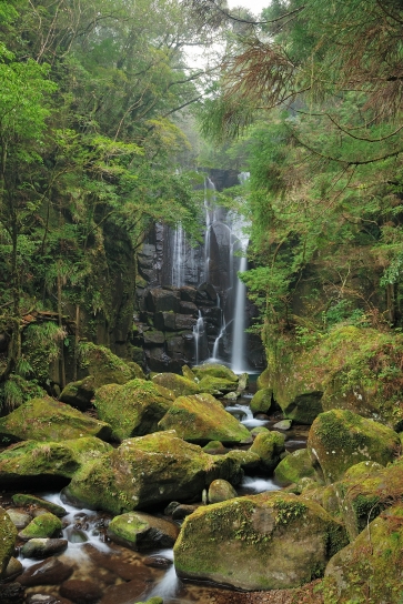 桑ノ木の滝