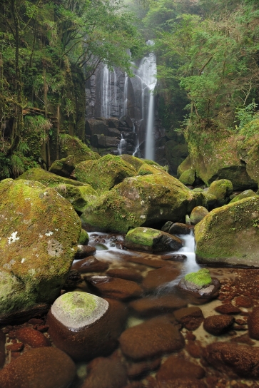 桑ノ木の滝