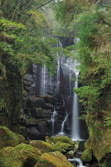 桑ノ木の滝