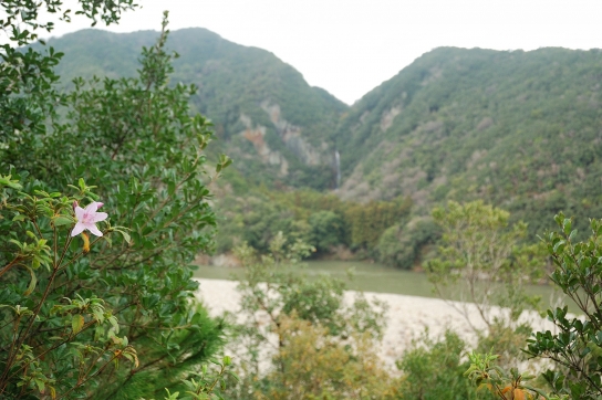 八草の滝遠望