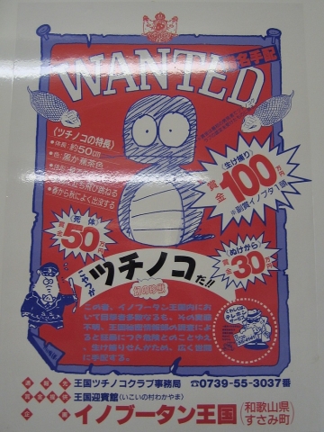 ここにもツチノコ