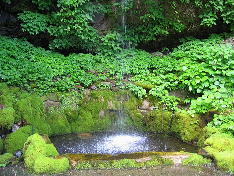 白糸の滝