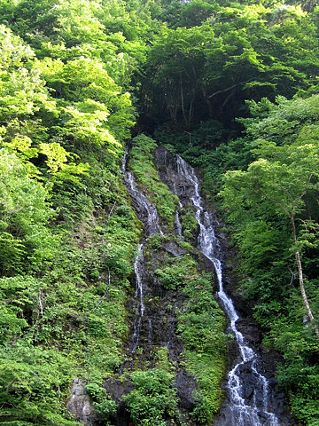 たるまの滝