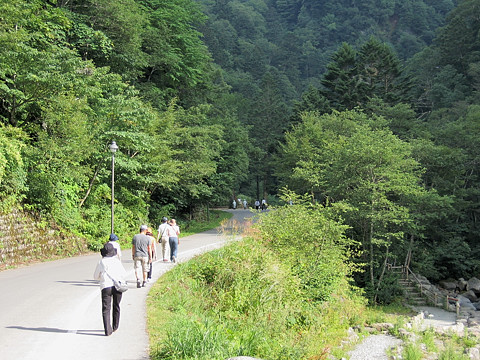 平湯大滝への道