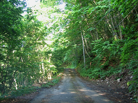県道89号線