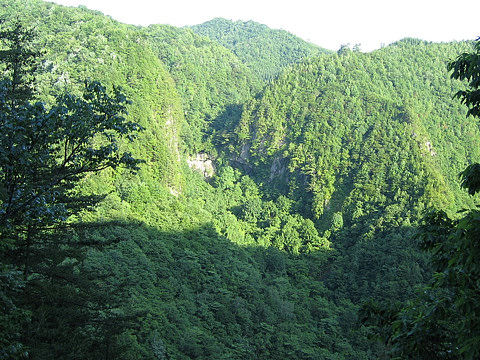 岩洞滝