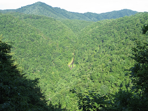 五郎七滝