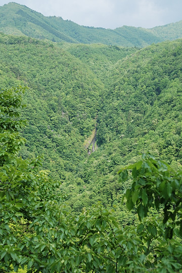 五郎七滝