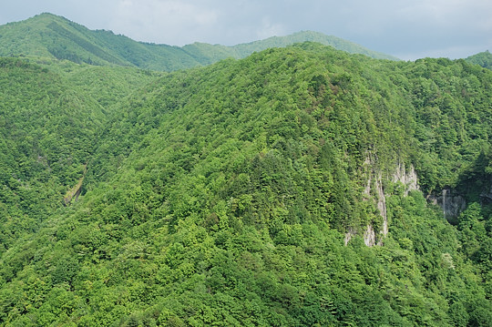 五郎七滝と岩洞滝