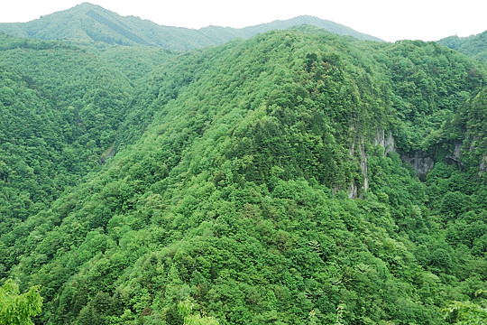 五郎七滝と岩洞滝