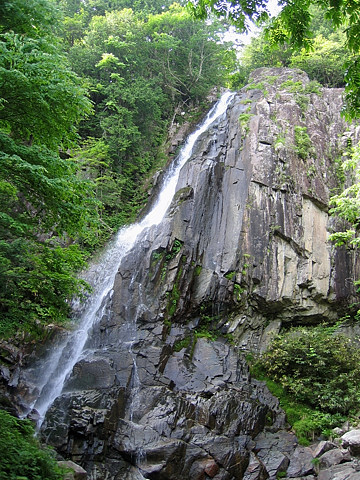 大倉滝