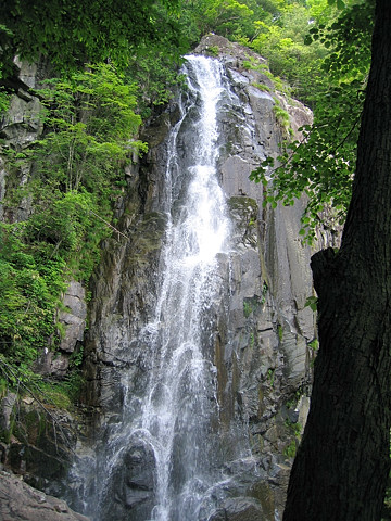 大倉滝