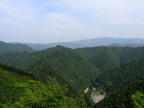 展望台から