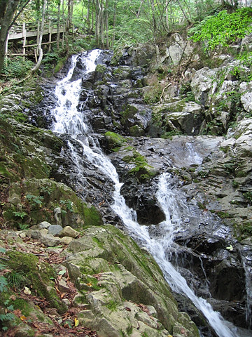 滝口橋の上流