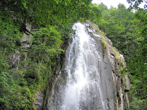 大倉滝