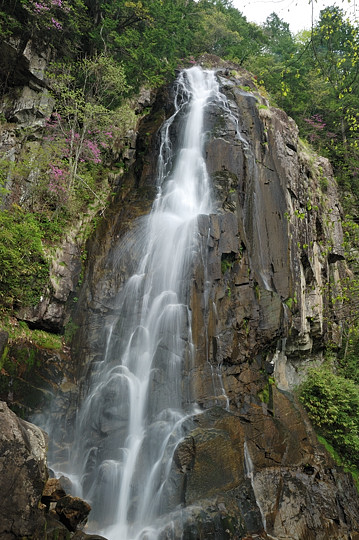 大倉滝