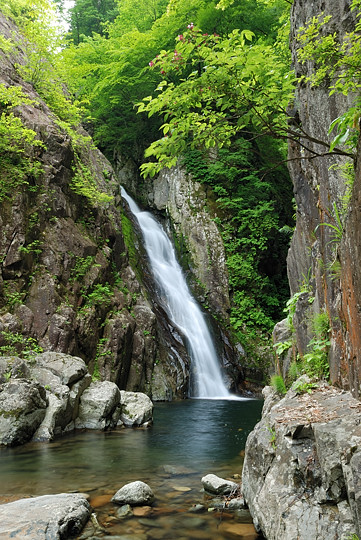 鼠餅の大滝