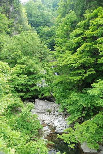 鼠餅の大滝