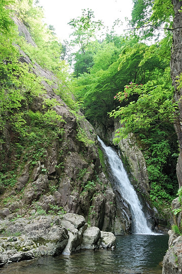 鼠餅の大滝
