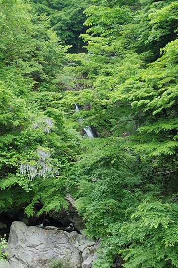 橋から鼠餅の大滝