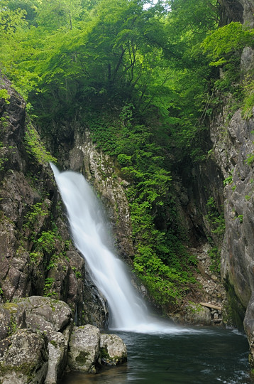鼠餅の大滝