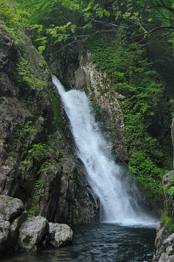 鼠餅の大滝