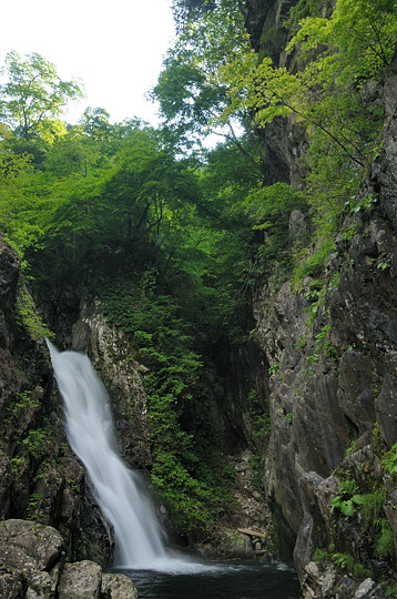 鼠餅の大滝