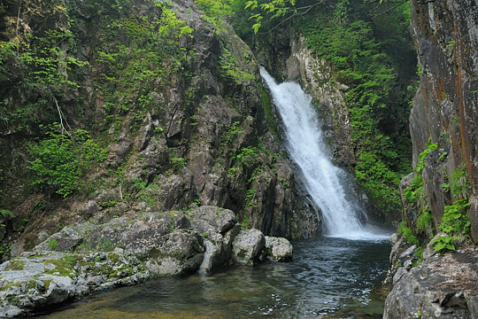 鼠餅の大滝