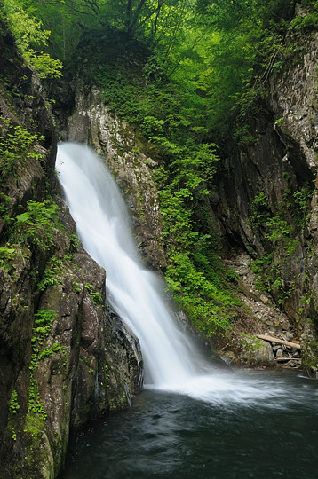鼠餅の大滝