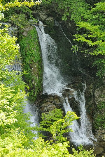 大滝の上流